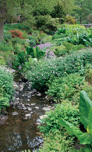 Лесной ручей — популярный элемент ландшафта масштабных садов