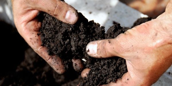 Как определить тип своей почвы