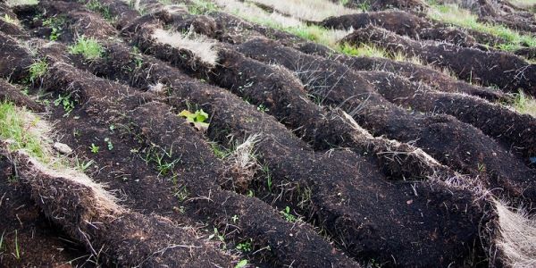 Освоение дернины на дерново-карбонатных почвах