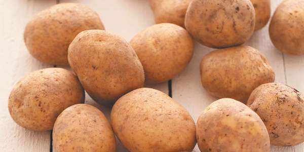 Характеристика и описание сортов картофеля