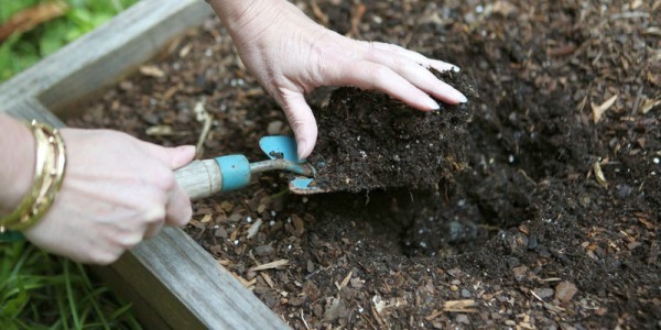 Подготовка почвы под морковь