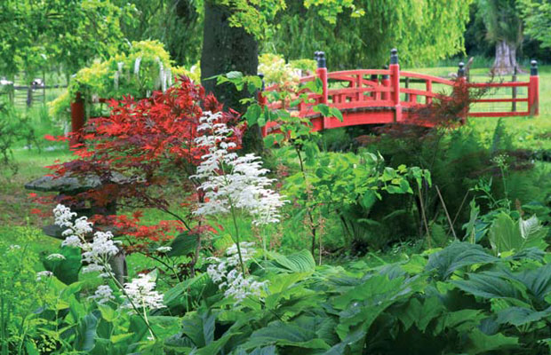 В дальневосточных садах мостики часто выкрашены в красный цвет