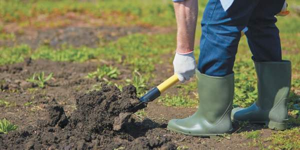 Перекапывание почвы. Советы и рекомендации